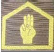 Brownie Golden hand Brownie Golden hand